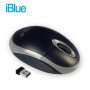 MOUSE WIRELESS MW100 BLACK/GREY